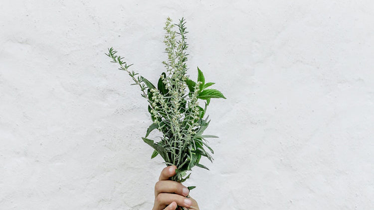 A hand holding up a bunch of herbs and leafy branches